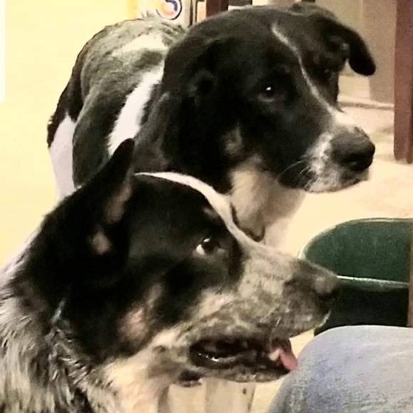 Meet your Posher, Aunt tata - Picture 2 of 8